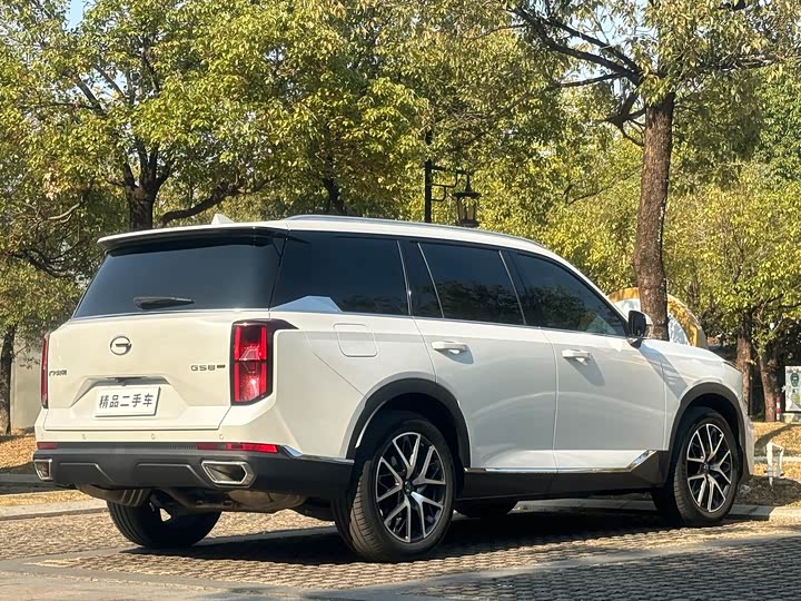 Фото 5 - GAC Trumpchi GS8