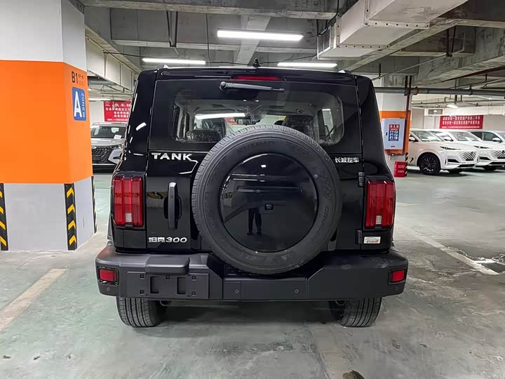 Фото 8 - Tank 300