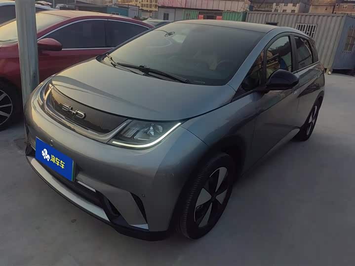 Фото 1 - BYD Dolphin