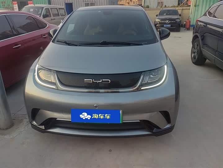 Фото 2 - BYD Dolphin