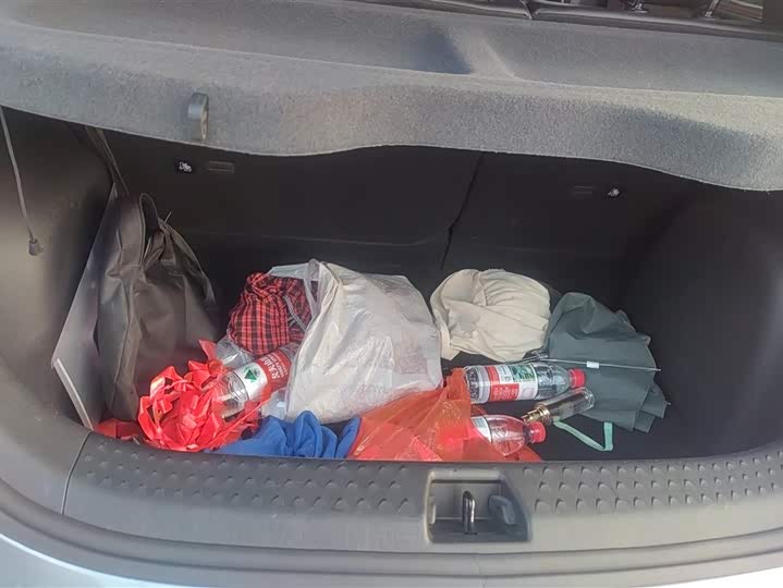 Фото 4 - BYD Dolphin