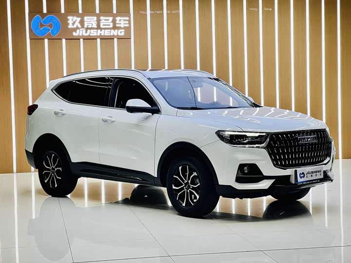 Фото 3 - Haval H6