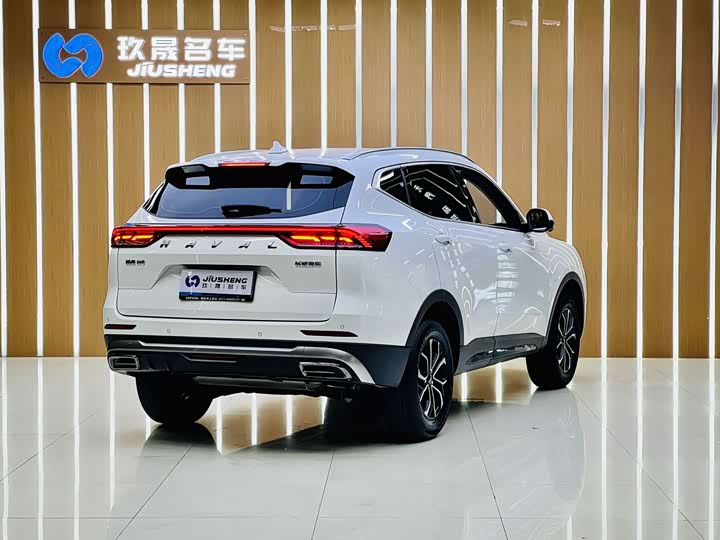 Фото 8 - Haval H6