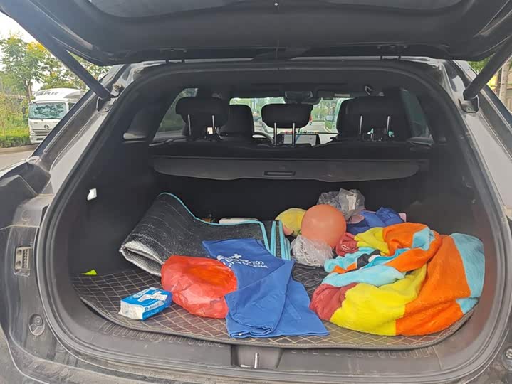 Фото 4 - Haval F7 (Monster)