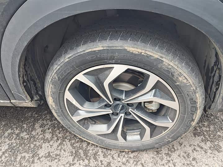 Фото 6 - Haval F7 (Monster)