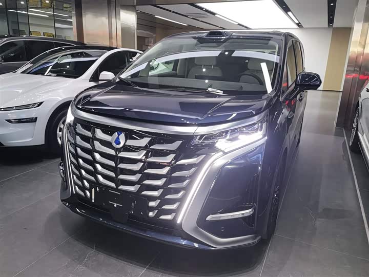 Фото 2 - Denza D9