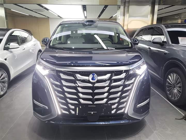 Фото 3 - Denza D9