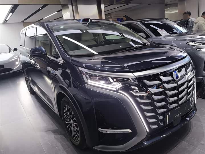 Фото 4 - Denza D9