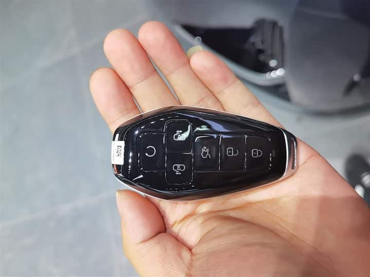 Фото 9 - Denza D9