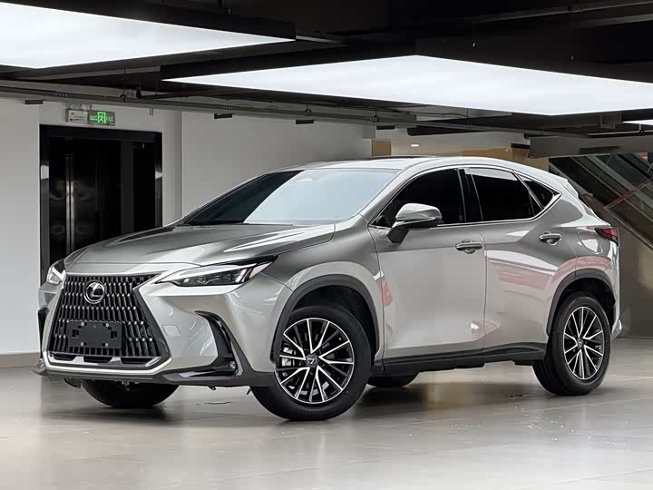 Фото 1 - Lexus NX