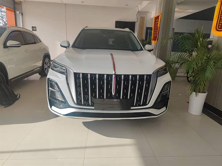 Фото 3 - Hongqi HS5