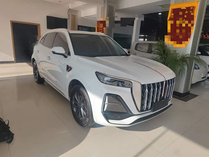 Фото 4 - Hongqi HS5