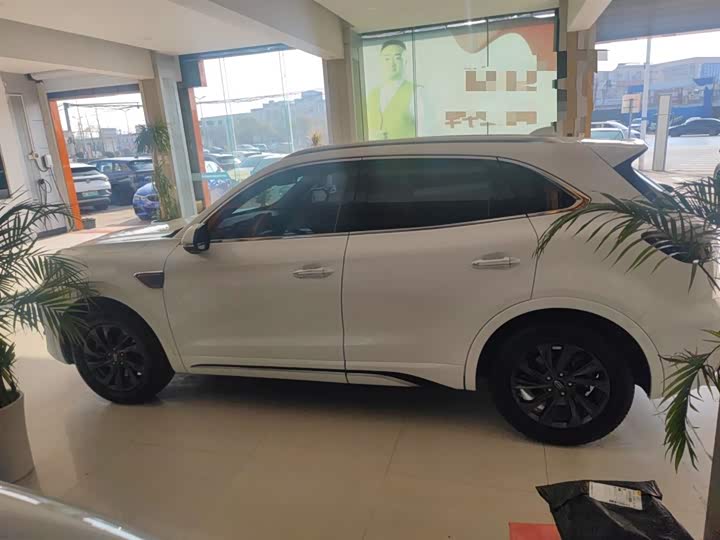 Фото 5 - Hongqi HS5