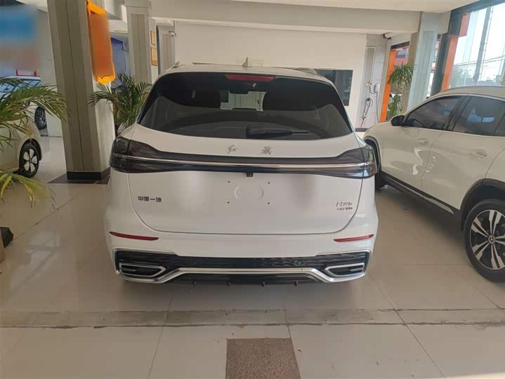 Фото 6 - Hongqi HS5