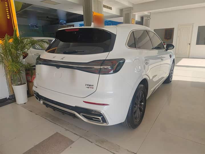 Фото 7 - Hongqi HS5