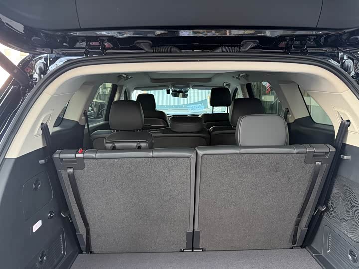 Фото 5 - Hongqi HS7 Hybrid