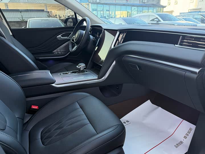 Фото 8 - Hongqi HS7 Hybrid