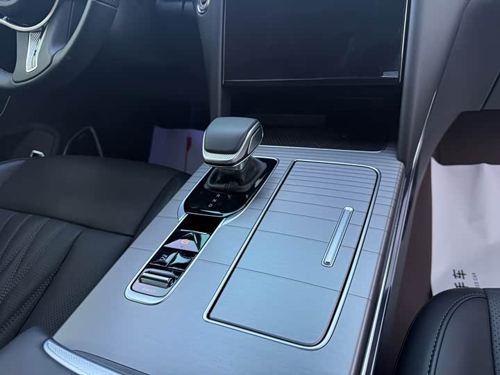 Фото 9 - Hongqi HS7 Hybrid