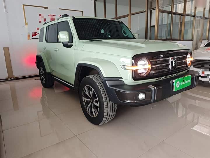 Фото 4 - Tank 300