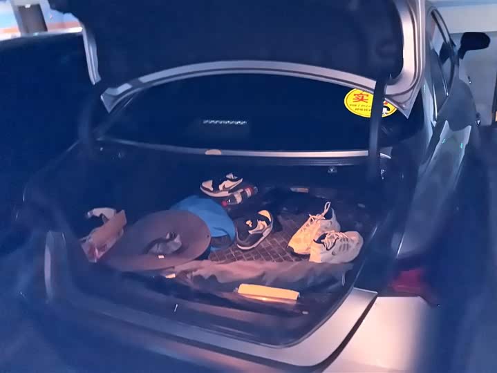 Фото 4 - Toyota Avalon