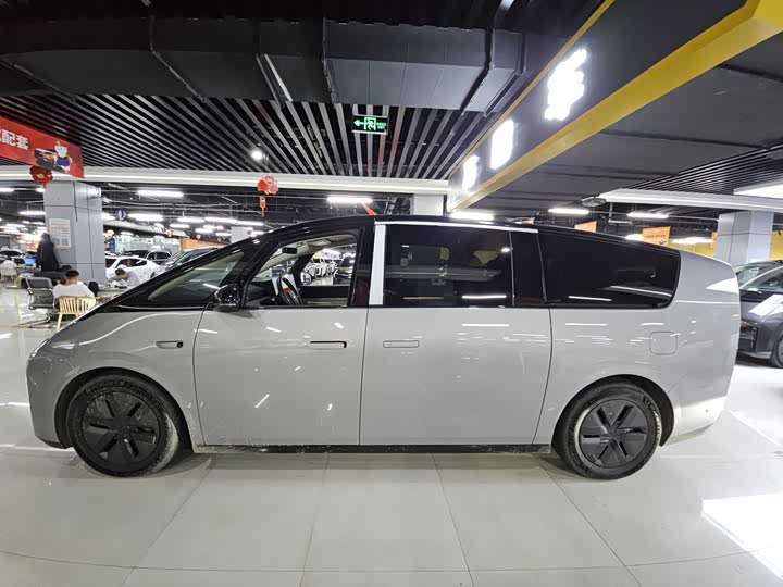 Фото 7 - LiXiang Mega