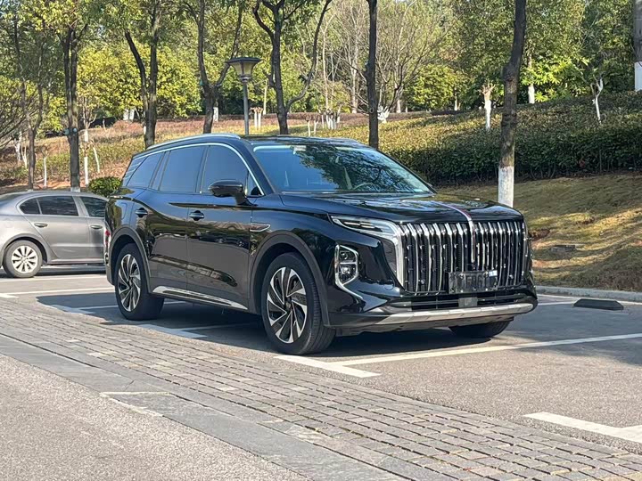 Фото 3 - Hongqi HS7 Hybrid