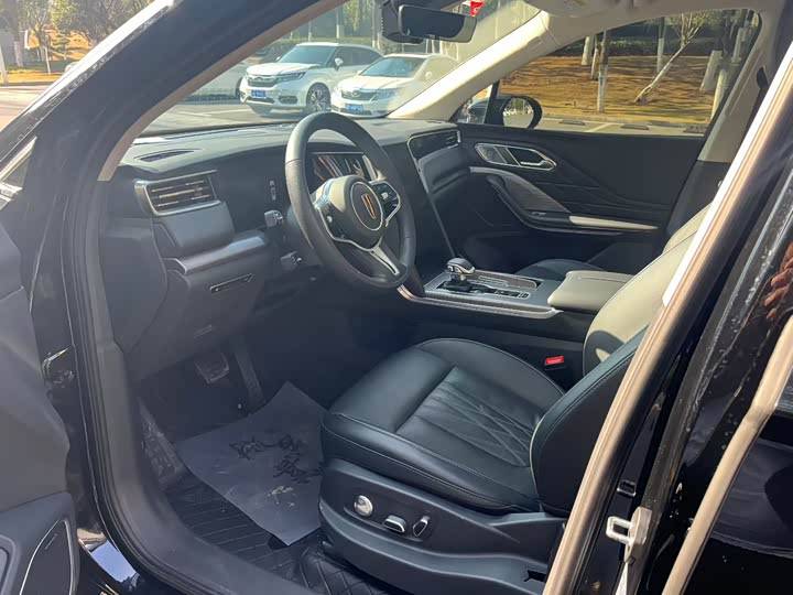 Фото 4 - Hongqi HS7 Hybrid