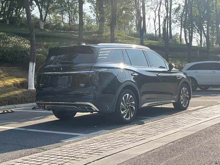 Фото 7 - Hongqi HS7 Hybrid