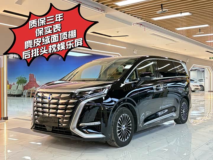 Фото 1 - Denza D9