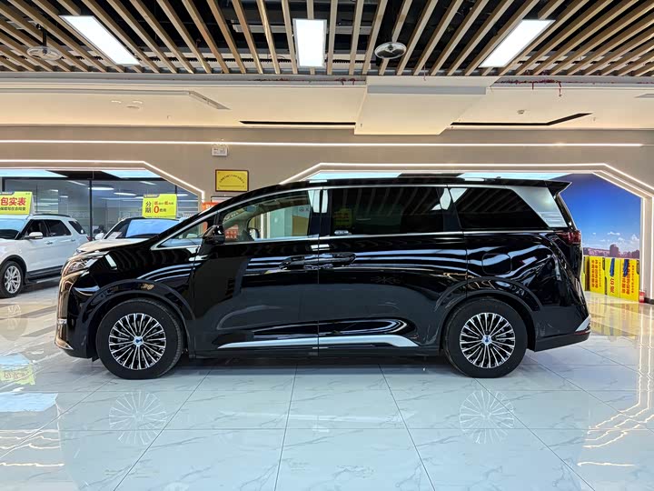 Фото 2 - Denza D9