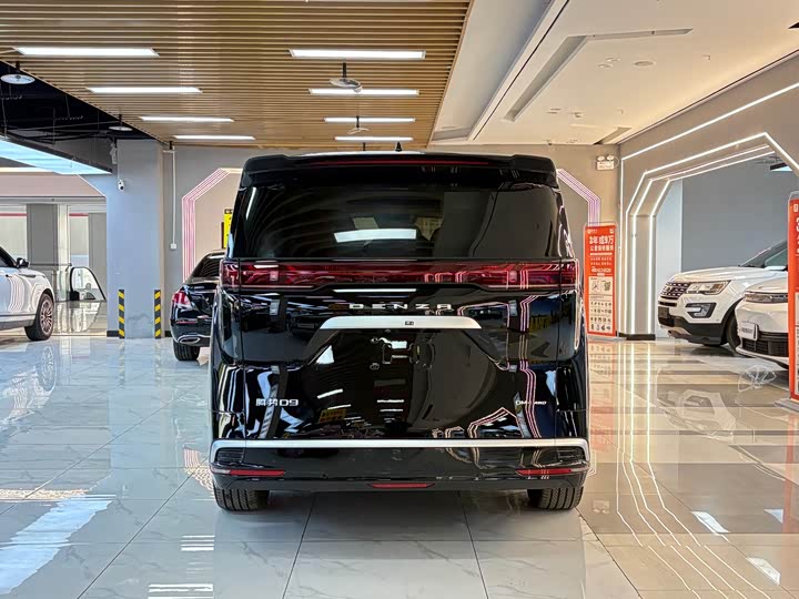 Фото 4 - Denza D9