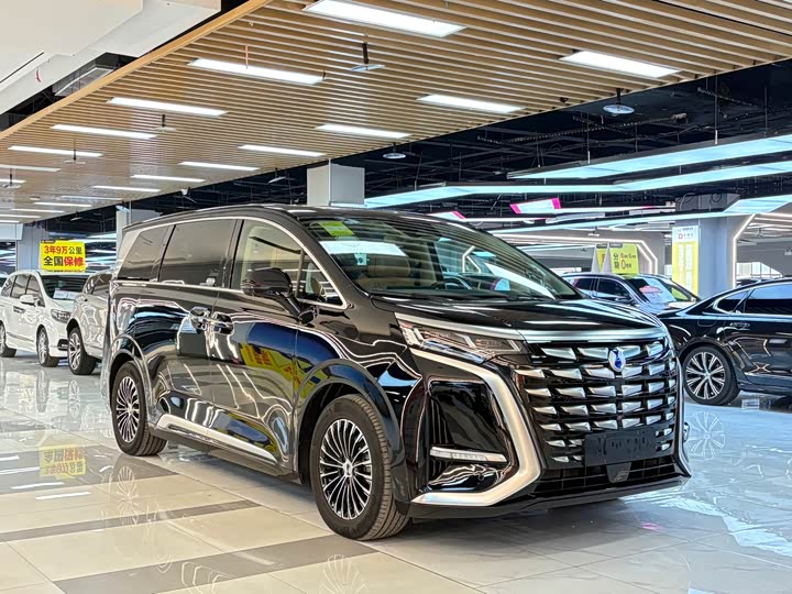 Фото 7 - Denza D9