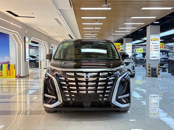 Фото 8 - Denza D9