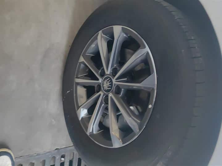 Фото 6 - BYD Qin Plus