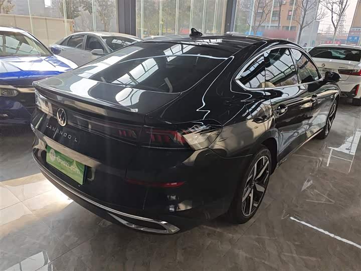 Фото 7 - Volkswagen Lamando L