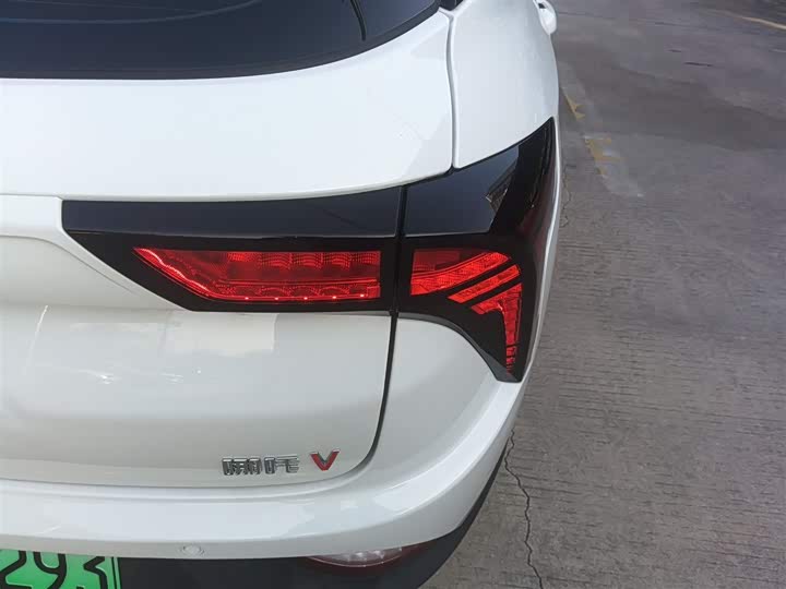 Фото 8 - Hozon V