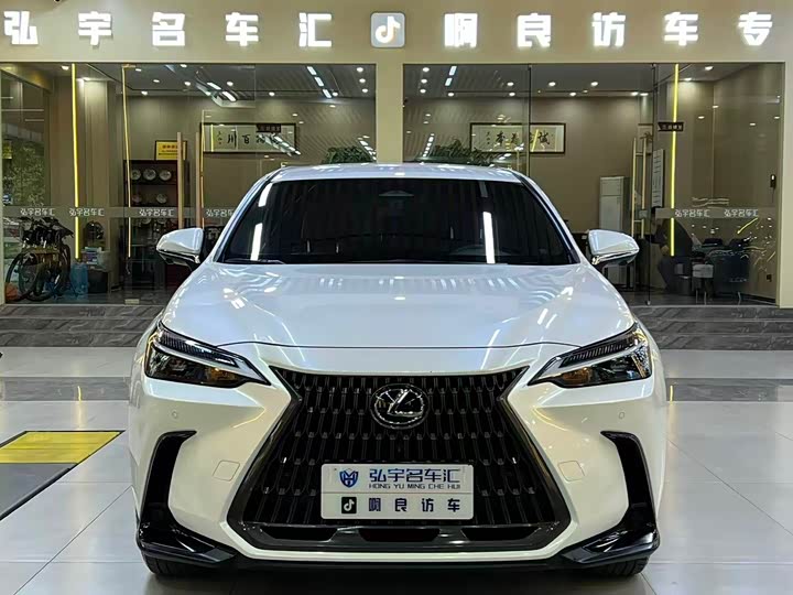 Фото 1 - Lexus NX