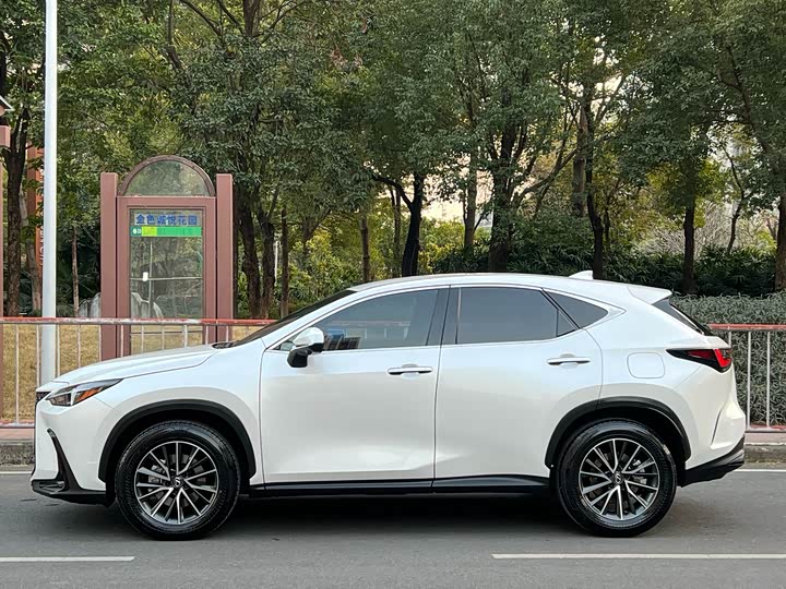 Фото 4 - Lexus NX