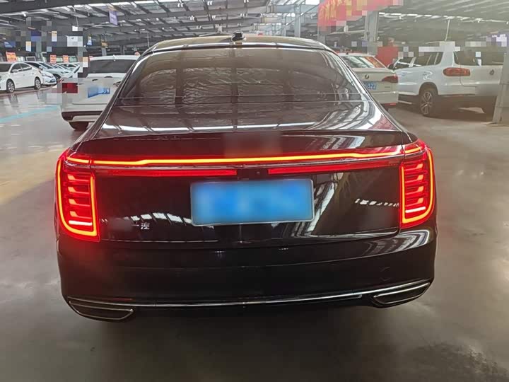 Фото 6 - Hongqi H9