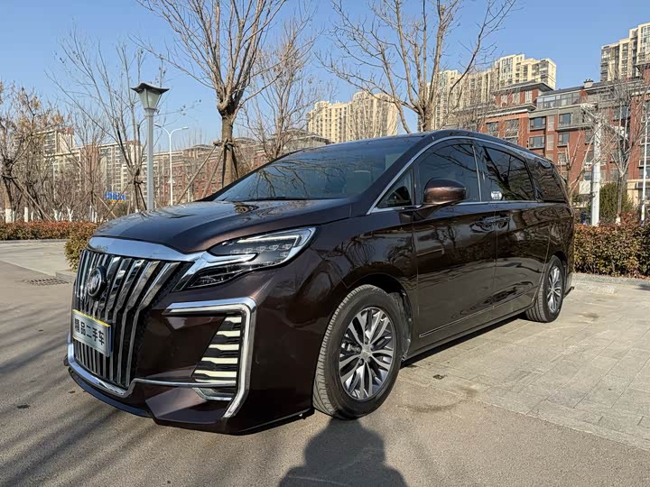 Фото 1 - Buick GL8 ES