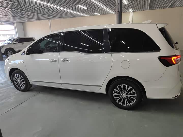 Фото 5 - Buick GL8 ES