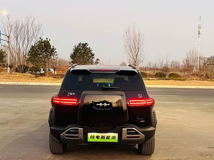 Фото 9 - BYD FangChengBao Titanium 3 (Tai 3)