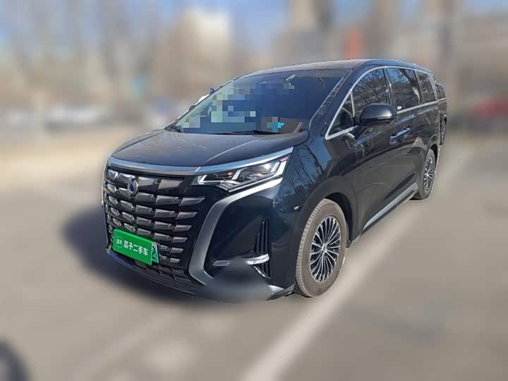 Фото 2 - Denza D9