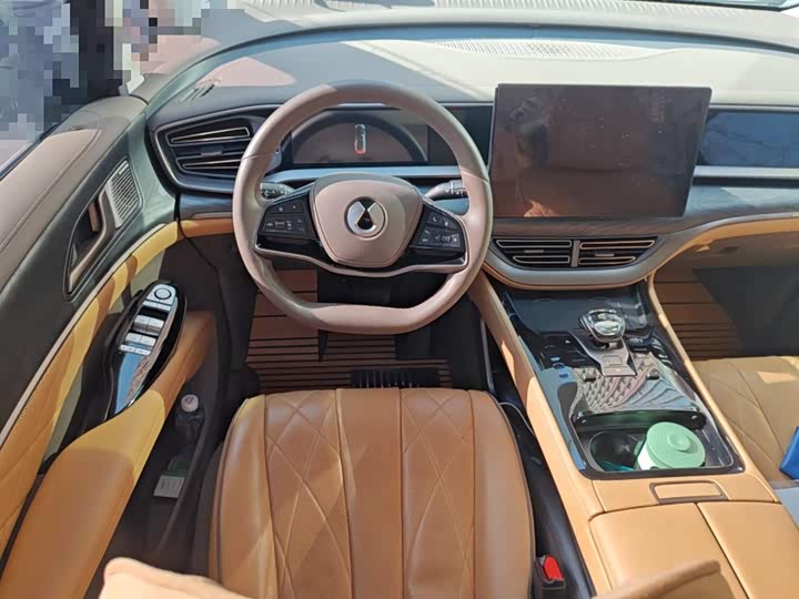 Фото 3 - Denza D9