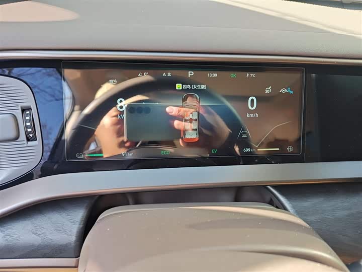 Фото 4 - Denza D9