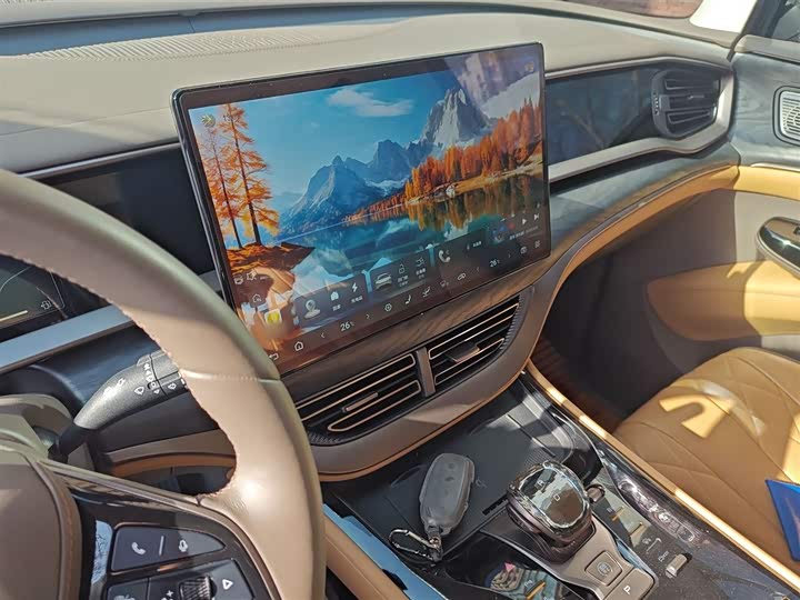 Фото 6 - Denza D9