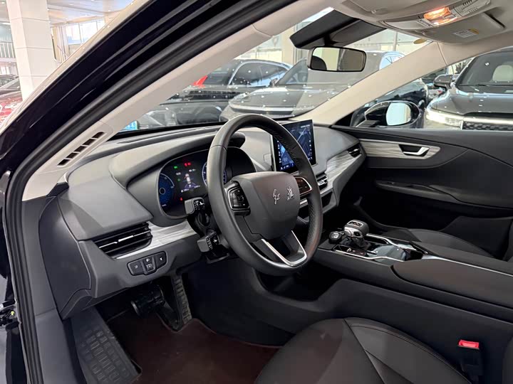 Фото 5 - Hongqi E-QM5