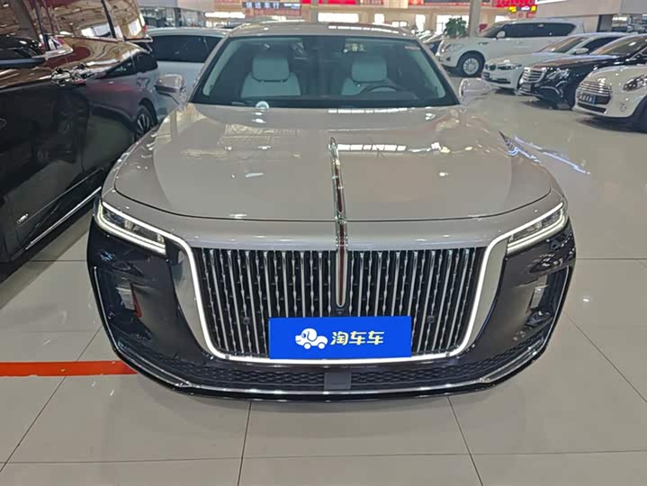 Фото 2 - Hongqi H9