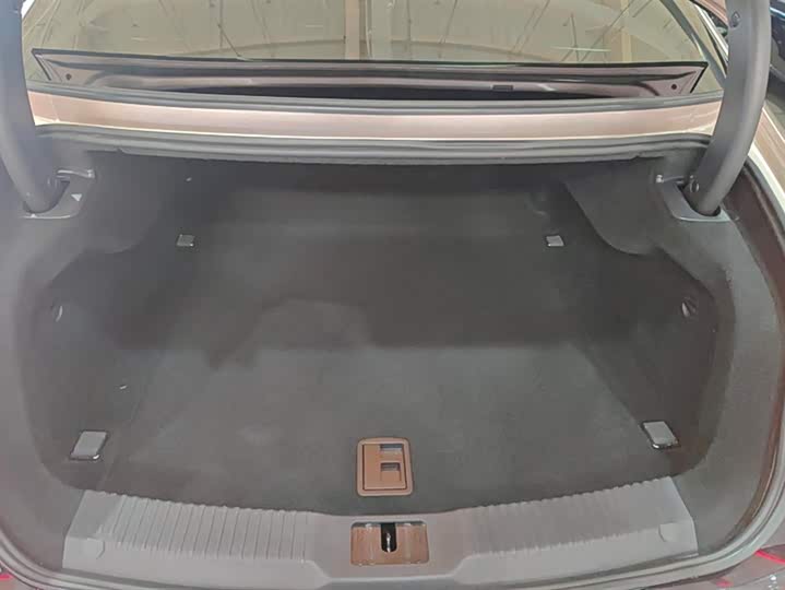 Фото 4 - Hongqi H9