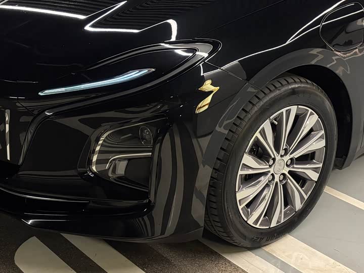 Фото 4 - Hongqi E-QM5